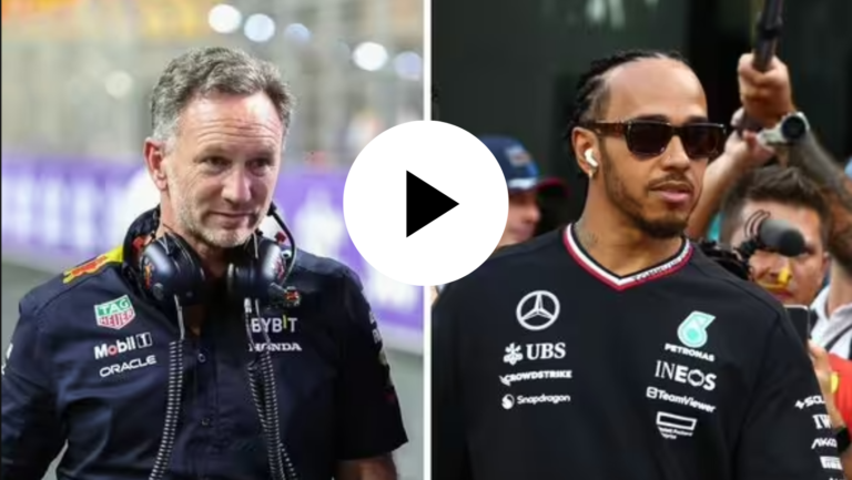 Lewis Hamilton Christian Horner